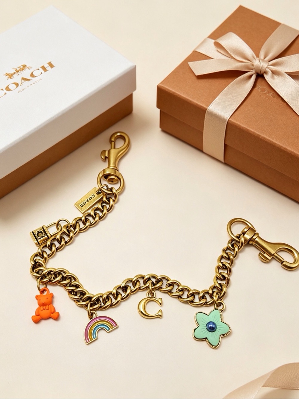 🧸 Coach Multi Charm Curb Chain Bag Charm Keychain